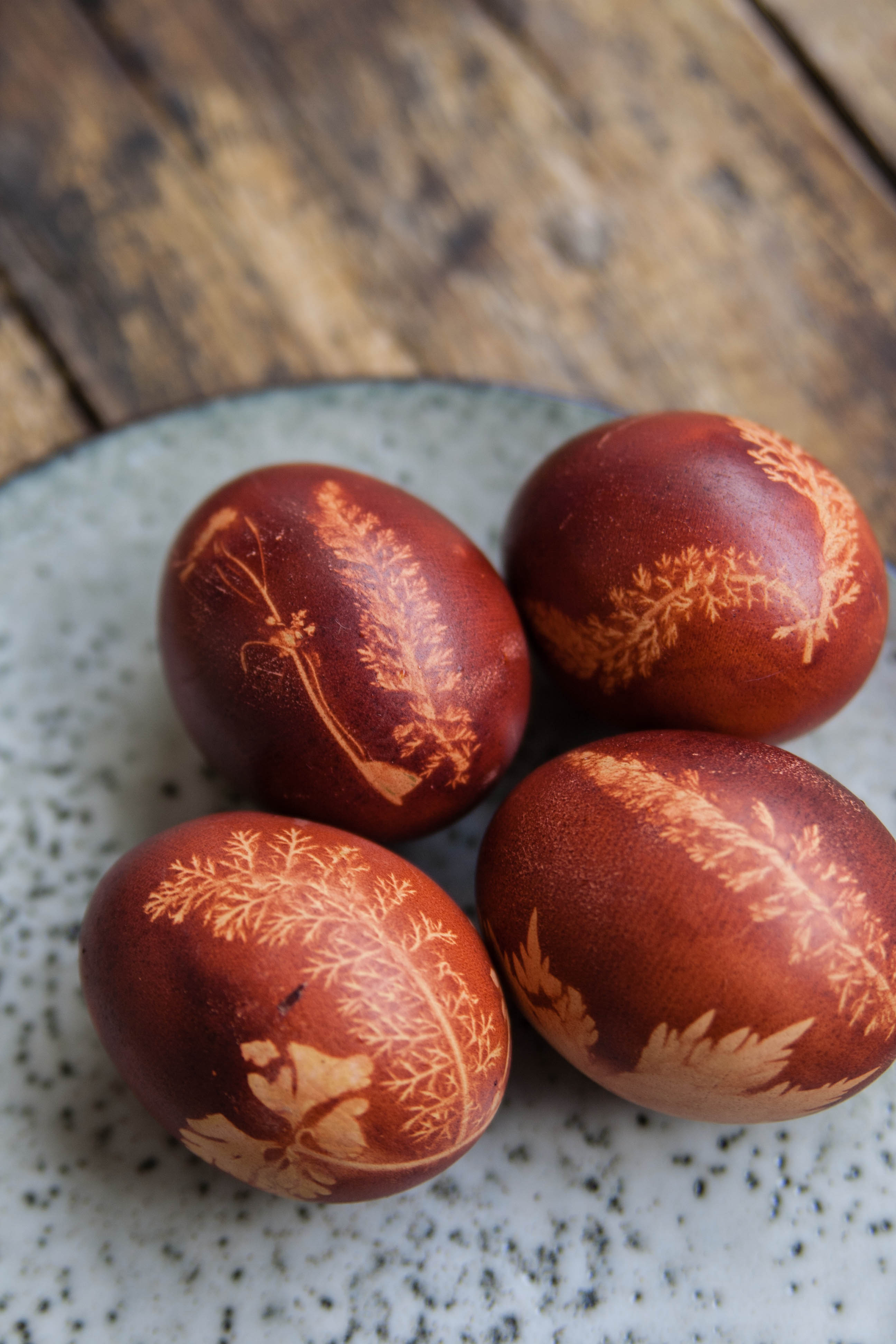 Der Osterhase legt bunte Eier » Geschmacksmomente